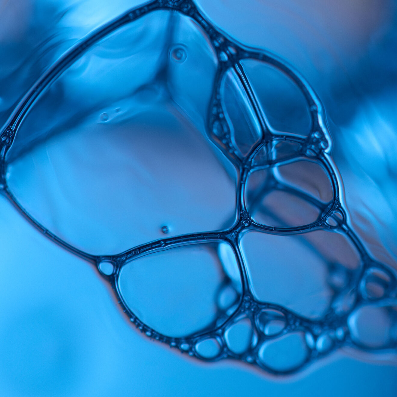 Science and Ingredients